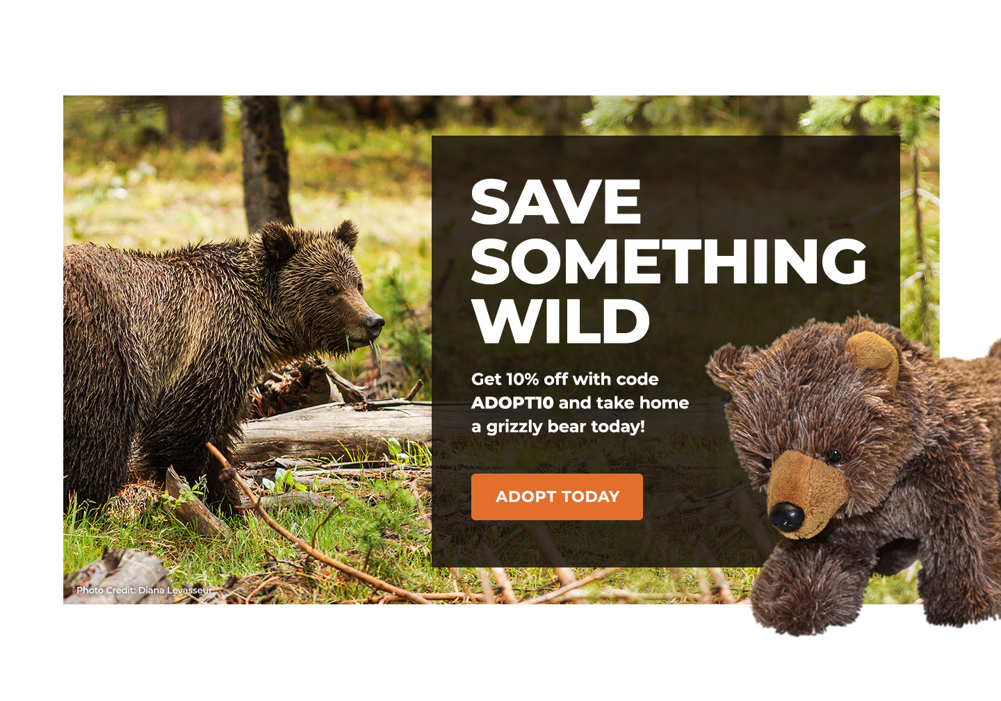 Adopt a Grizzly Bear