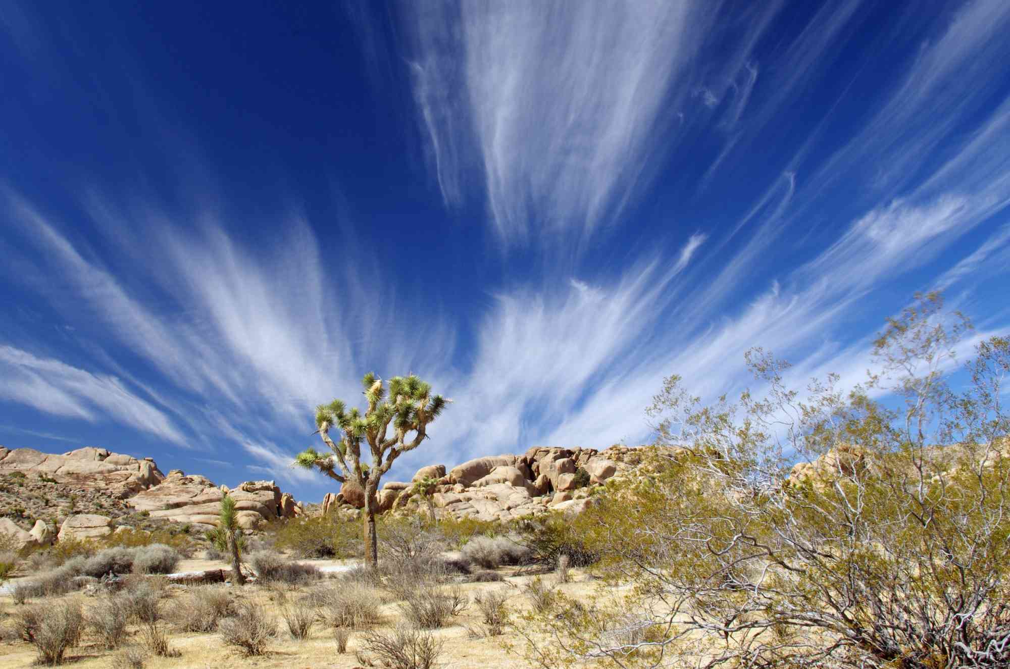 Wind and clouds Joshua Tree NP