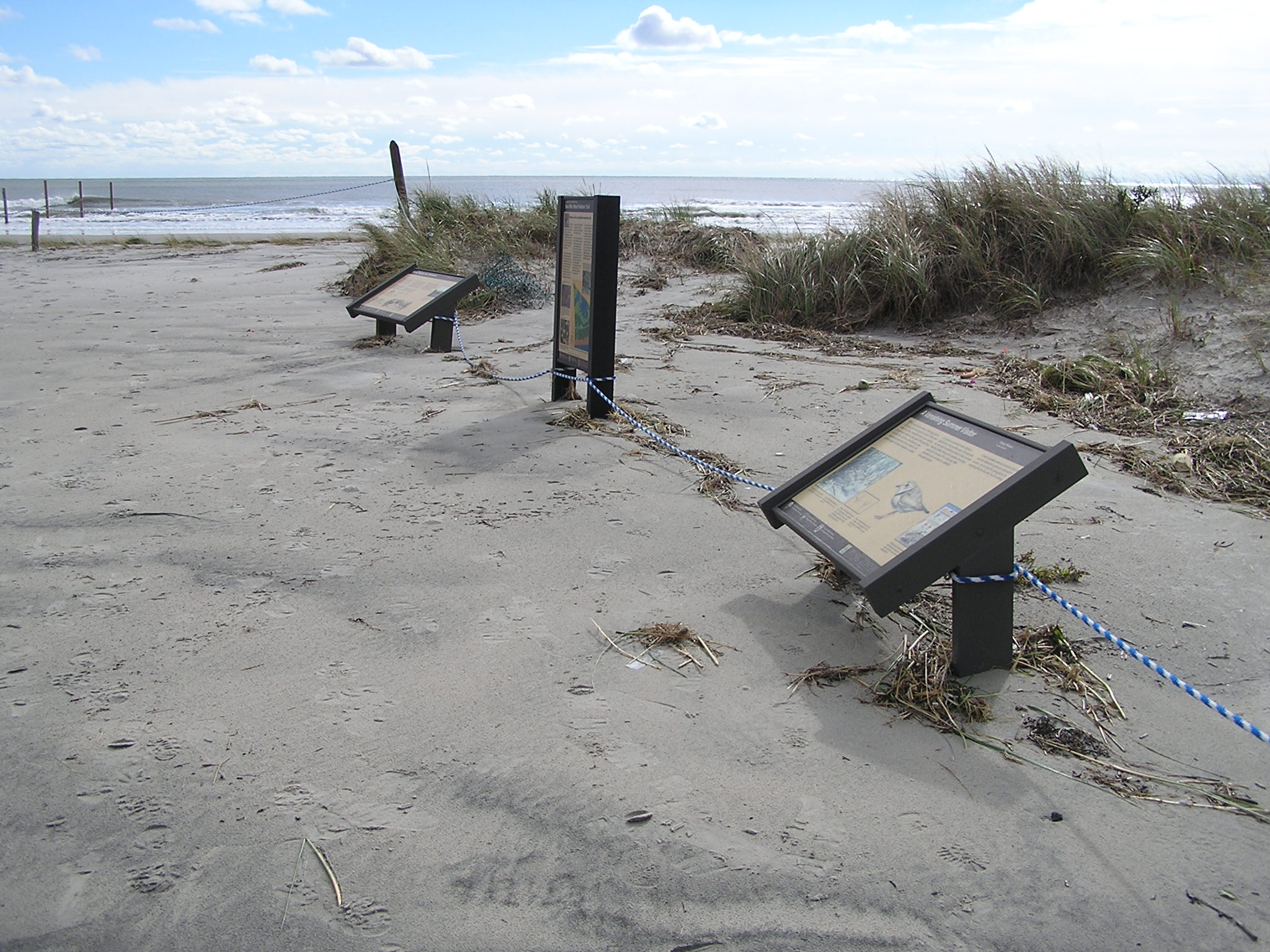 Hurricane Sandy damaged Cape May National Wildlife Refuge