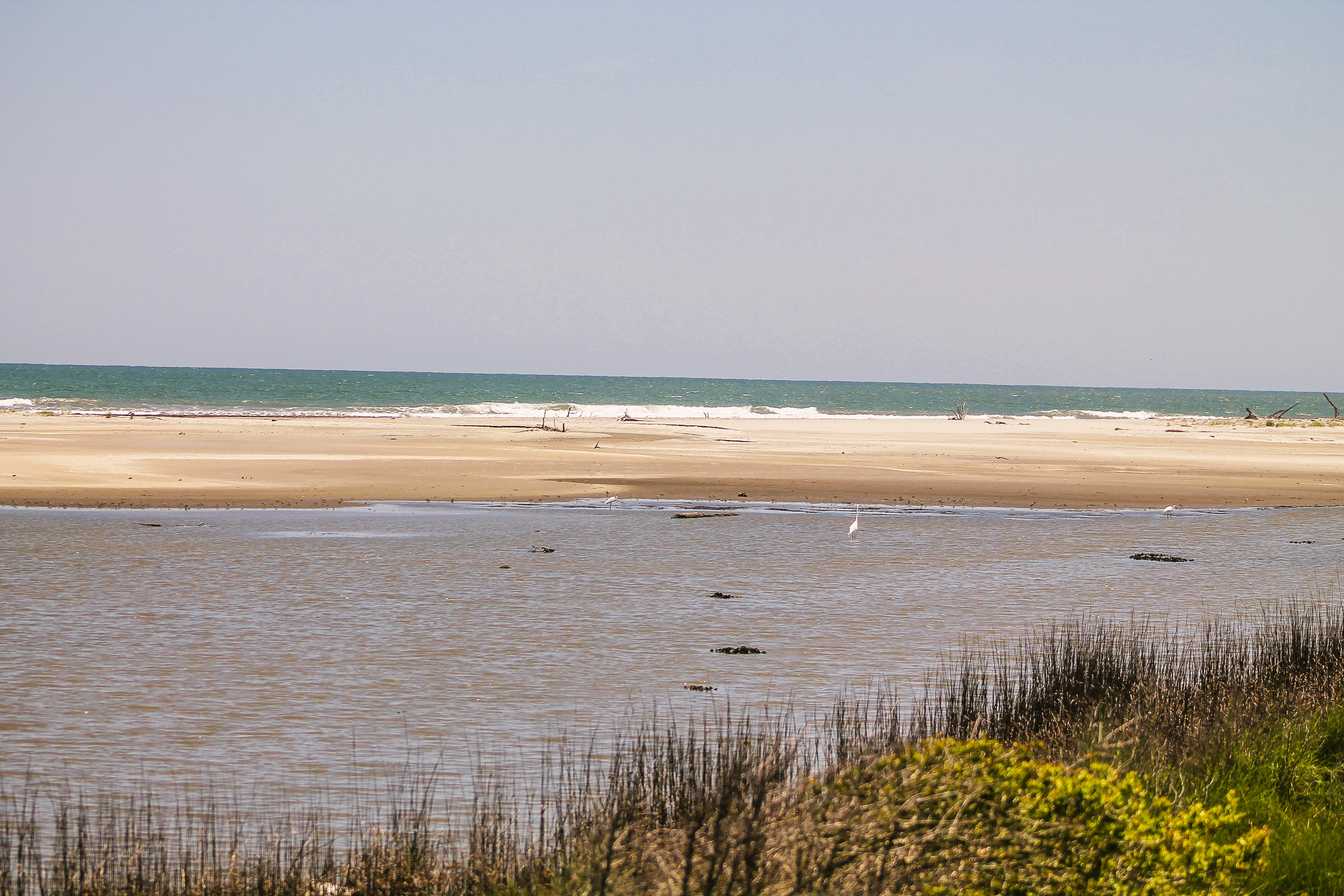 Cape Romain NWR