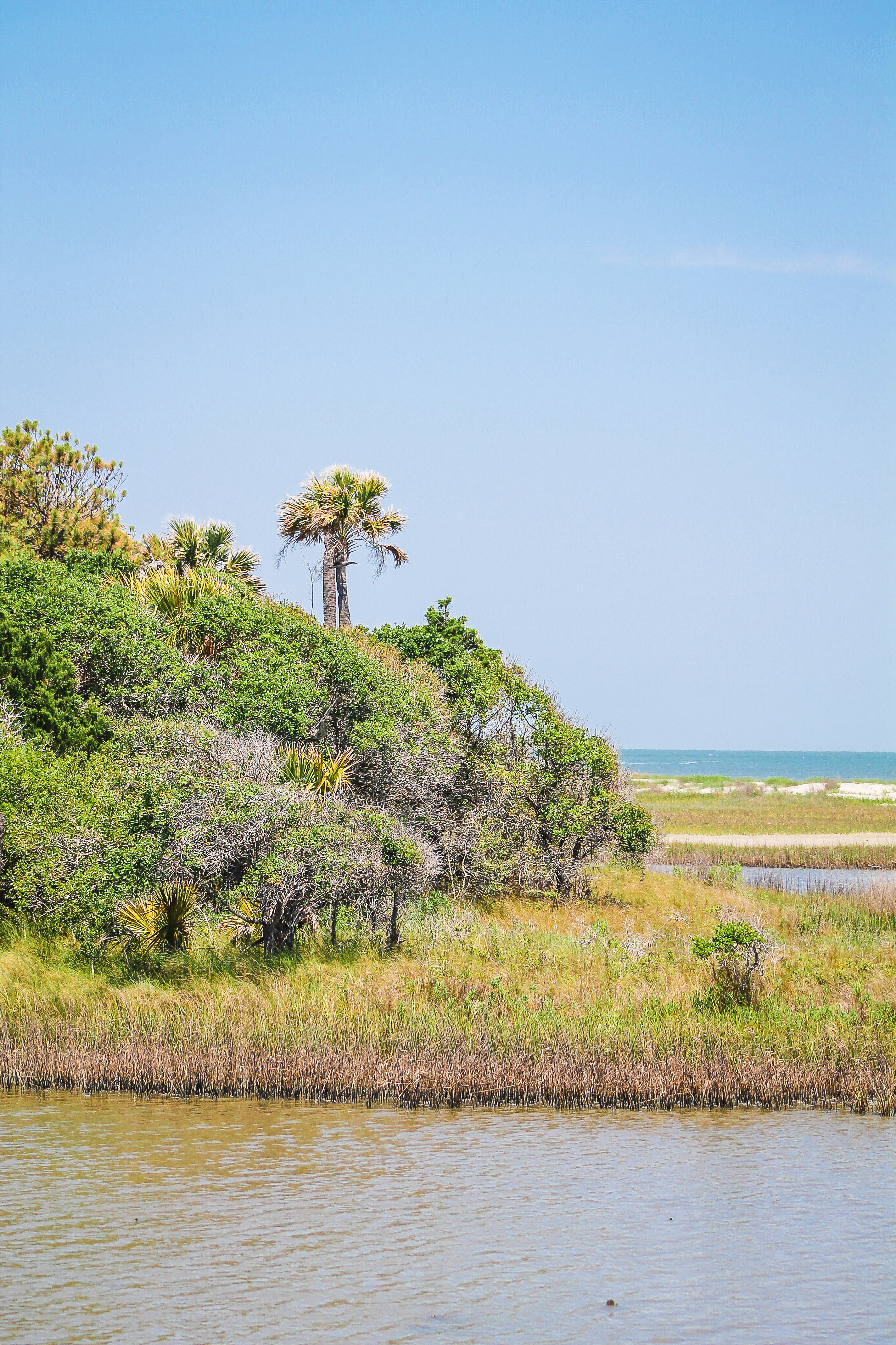 Cape Romain NWR