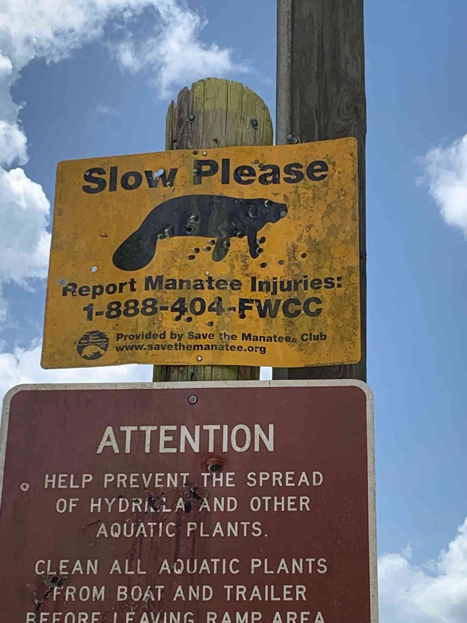 Manatee safety sign