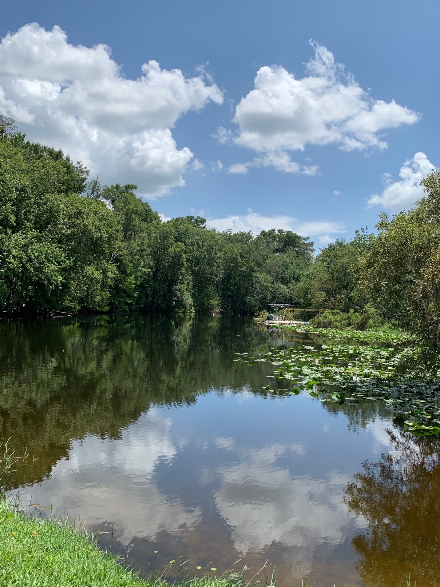 Ocklawaha River