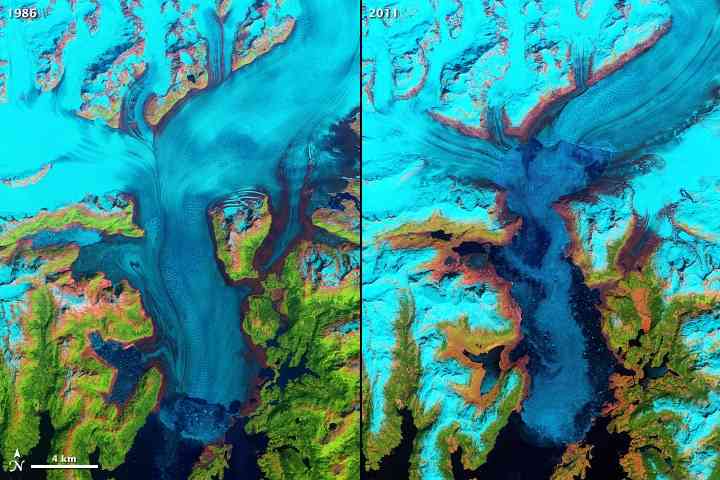 Columbia Glacier AK Habitat Change