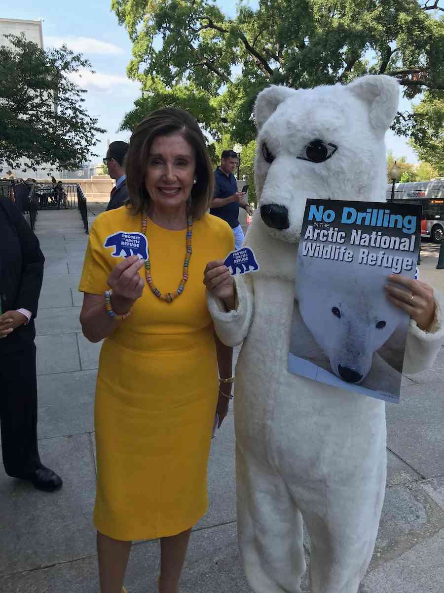 Polar Bear with Nancy Pelosi