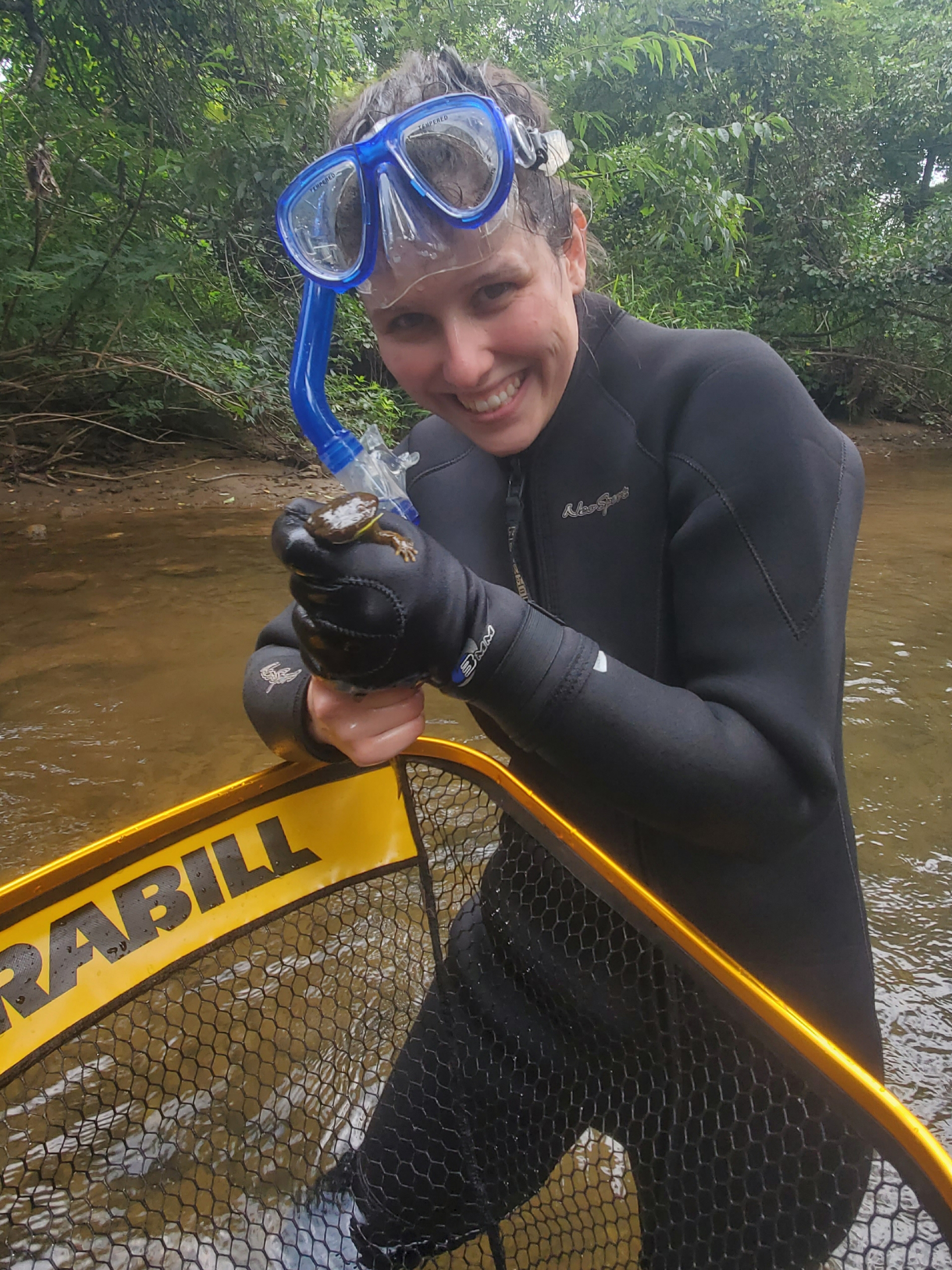 Hellbender survey