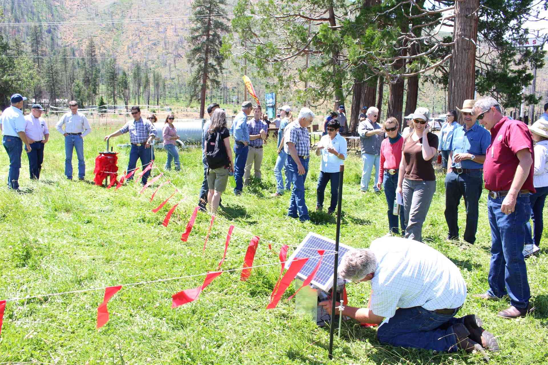 Nearly 80 participants attended the Wolf Workshop and Demonstration Day in Hat Creek, California, to learn more about wolf ecology and behavior, and to get an up-close look at several conflict reduction tools, including turbofladry, demonstrated here.