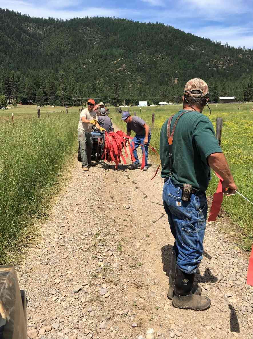 Partners from California Department of Fish and Wildlife, USDA Wildlife Services and Defenders of Wildlife assist a landowner in Plumas County remove turbofladry once the Lassen Pack moved to its summer range in Lassen County.