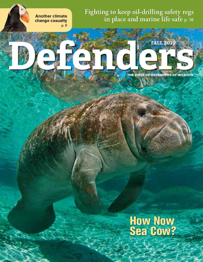 Defenders Magazine - Fall 2019
