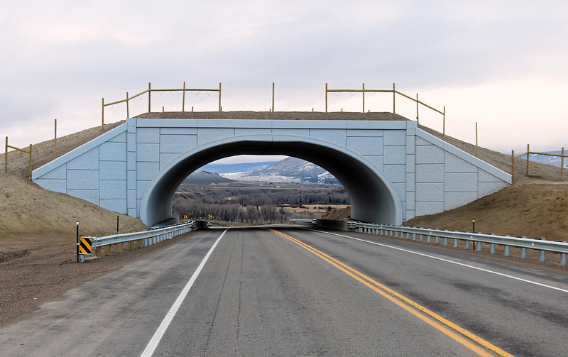 Wildlife Overpass in Colorado