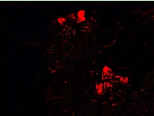 (c) CCI’s automated change detection tool showing areas of habitat change in red..jpg