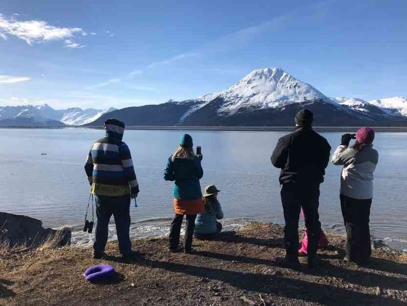Citizen scientists observing the Turnagain Arm in search of belugas. 