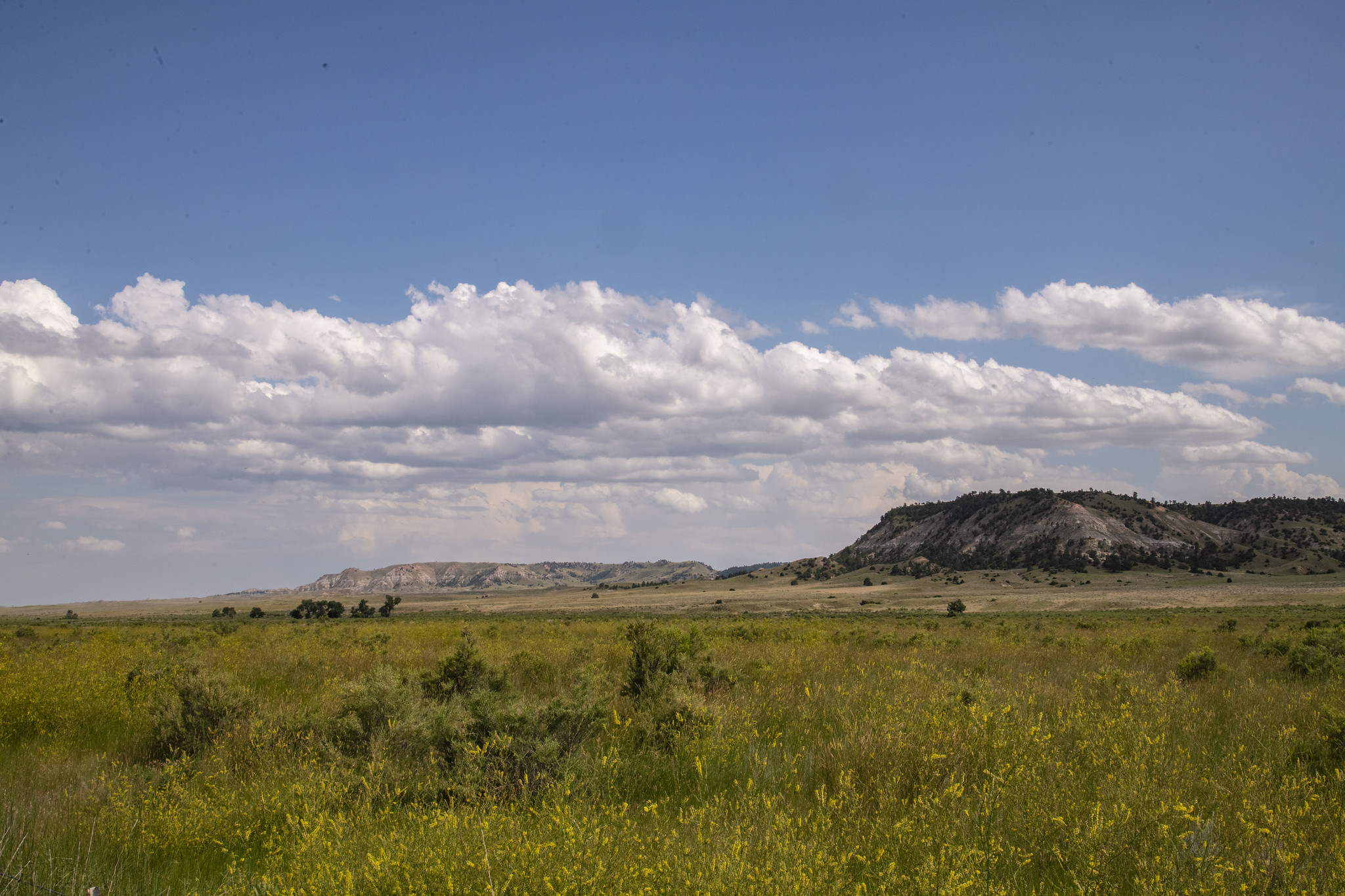 Thunder Basin National Grassland 