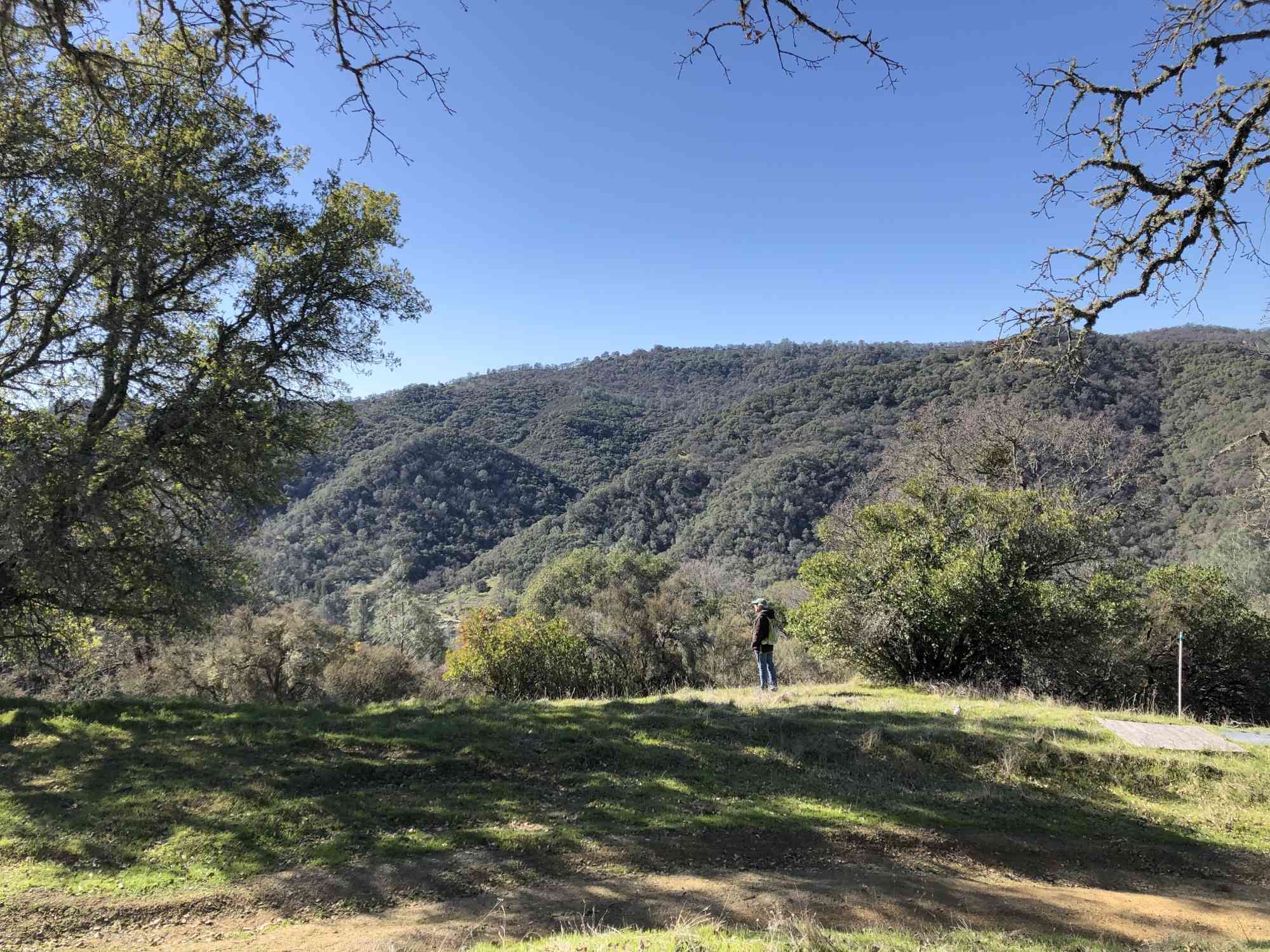 Lone Hiker - California - Quail Ridge Nature Walk