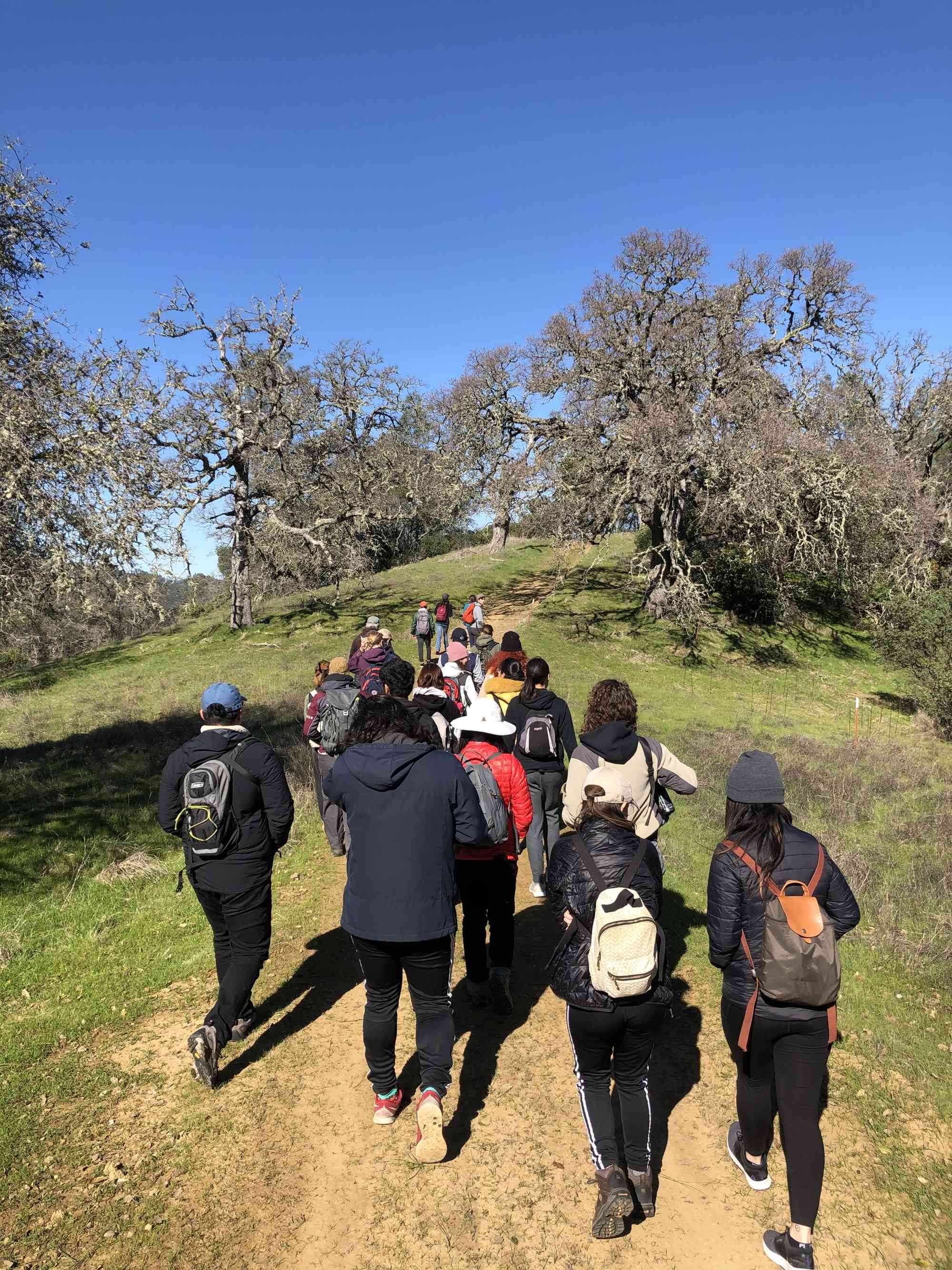 Student Group - California - Quail Ridge Nature Walk