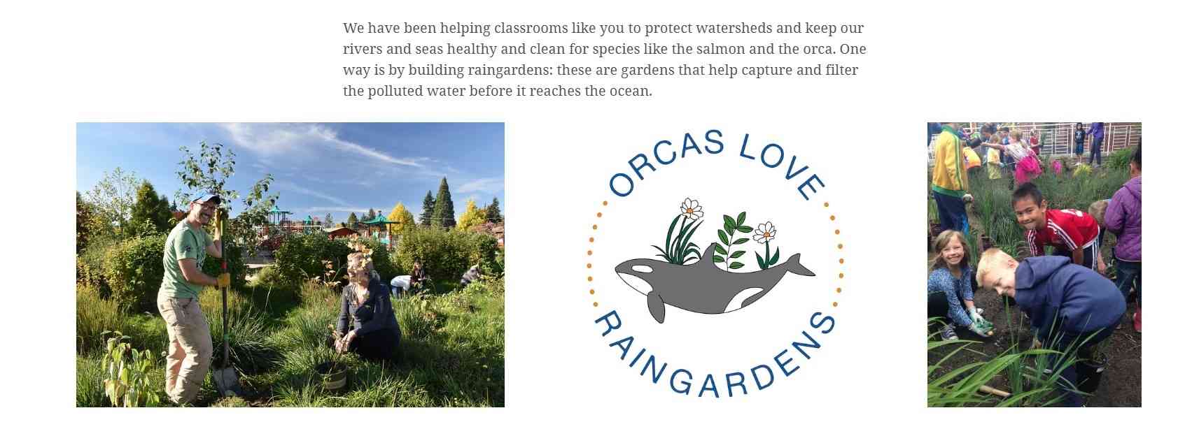 Orcas love raingardens storymap screenshot
