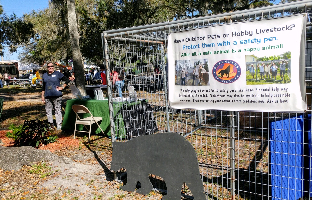 Livestock Pen at the Swamp Cabbage Festival in LaBelle, Florida