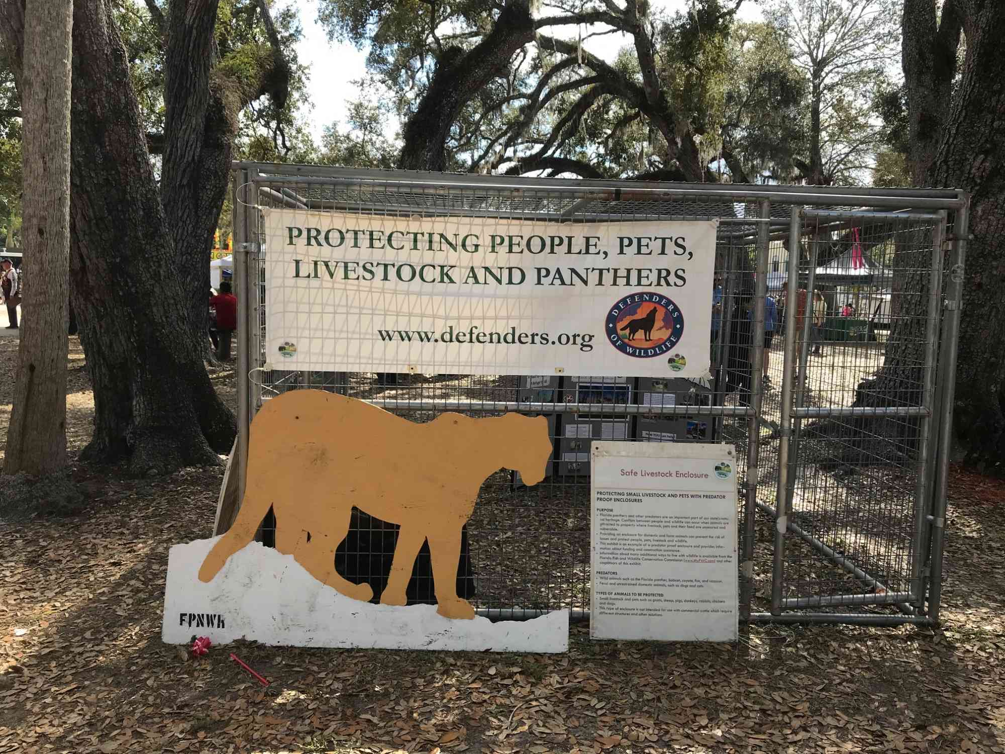 Panther Enclosure at the Swamp Cabbage Festival in LaBelle, Florida