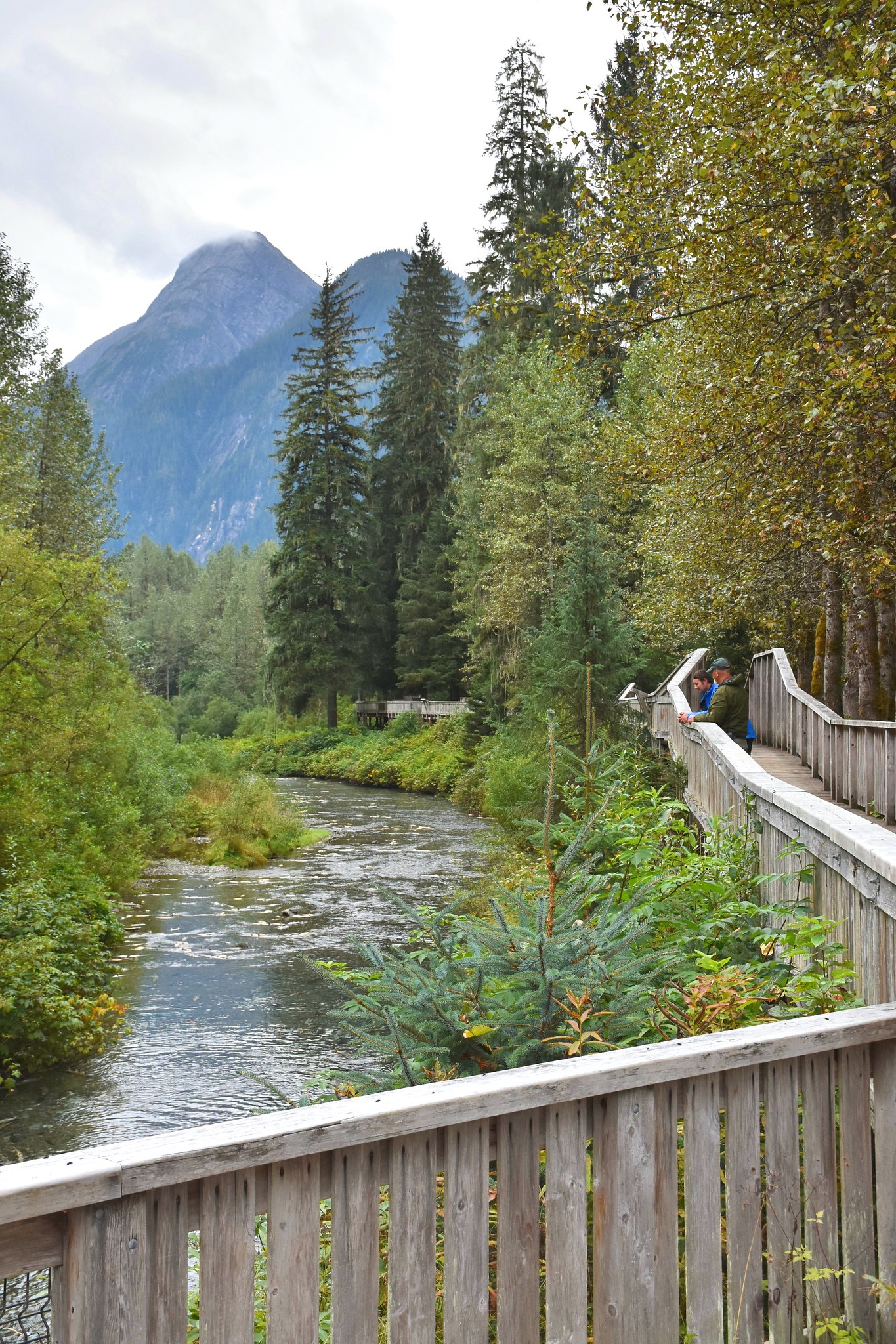 A volunteer guide discusses wildlife with a visitor on the boardwalk of Fish Creek Wildlife Viewing Area in Hyder, Alaska.