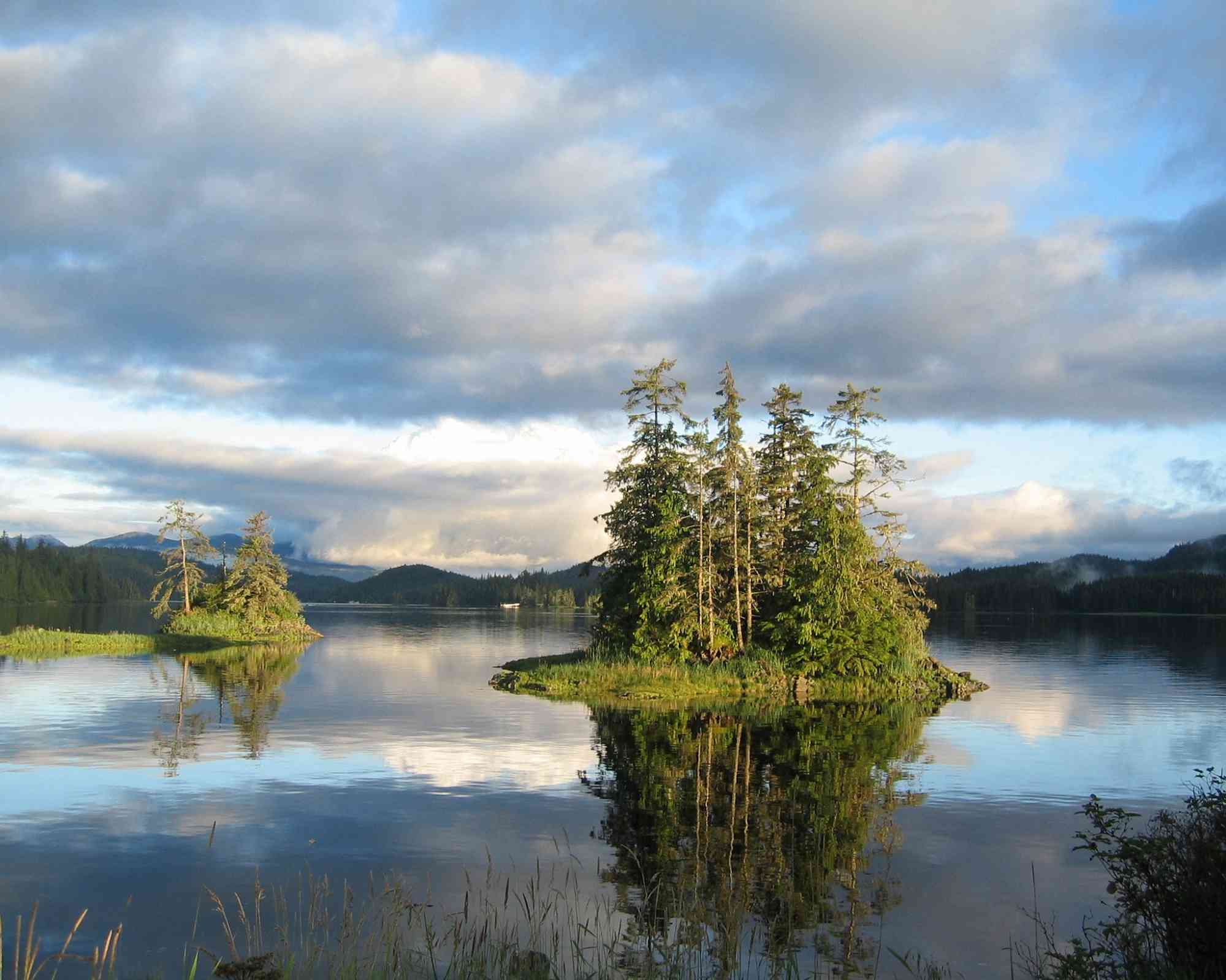 Thorne Bay in the Tongass National Forest