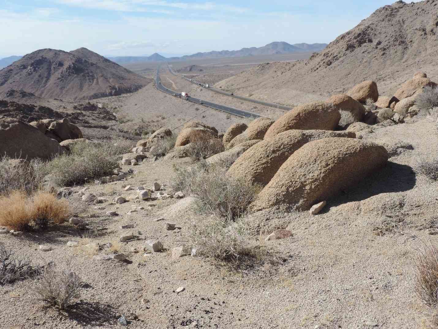 Desert bighorn sheep daybeds in the Marble Mountains overlooking Interstate Highway 40, between the Marble and Granite Mountains in the California Desert.