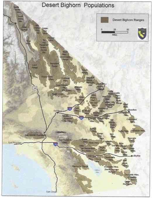 Desert bighorn sheep populations in the California Desert