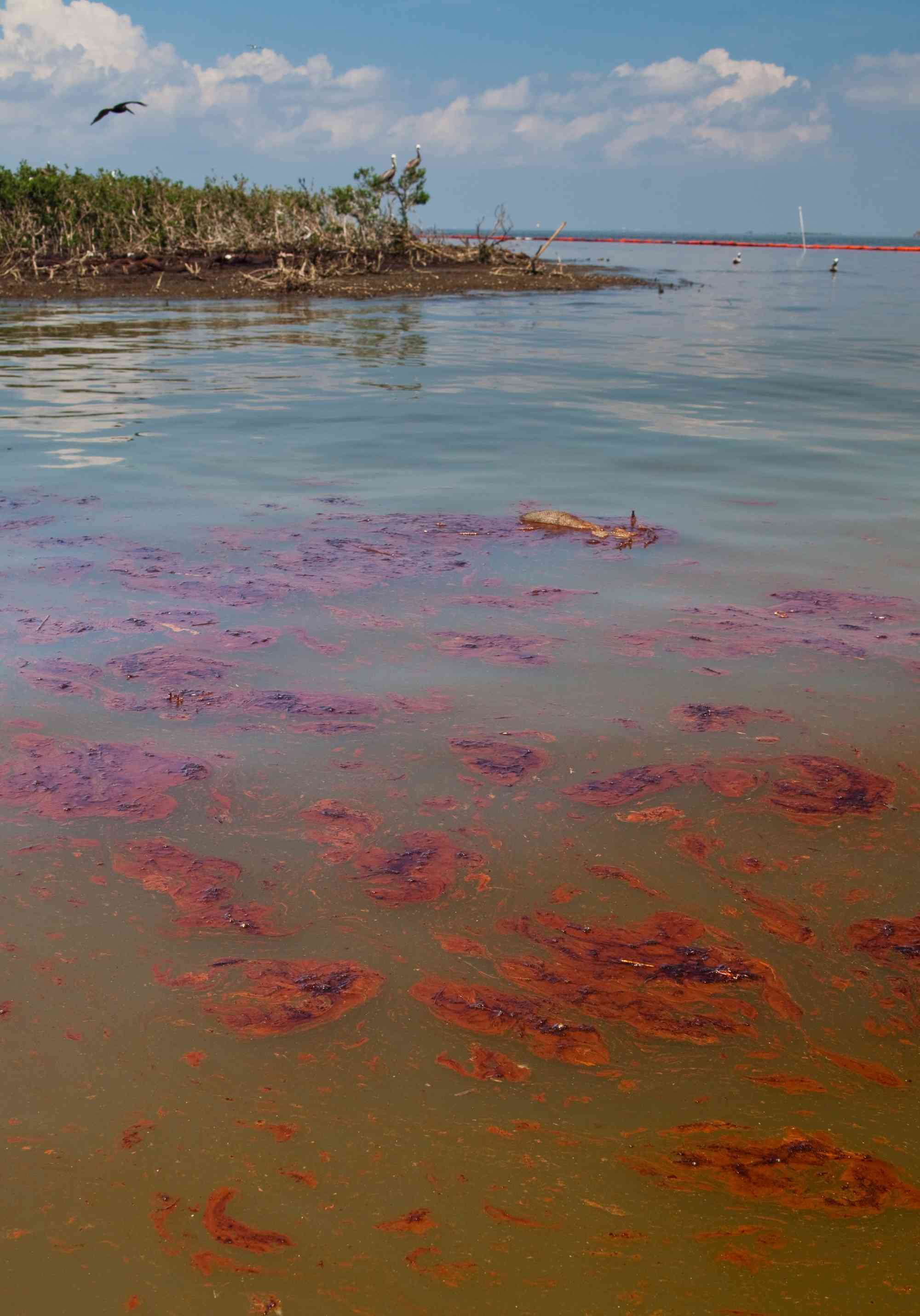 Gulf June 2010 after BP oil spill