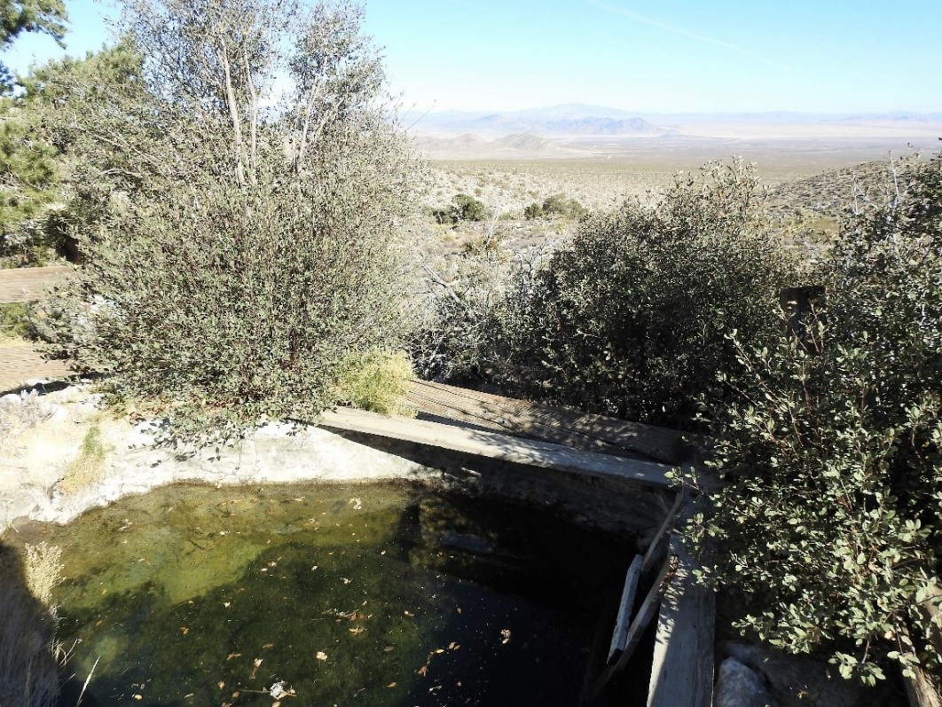 Terrace Spring next to the Rattlesnake Cattle Allotment