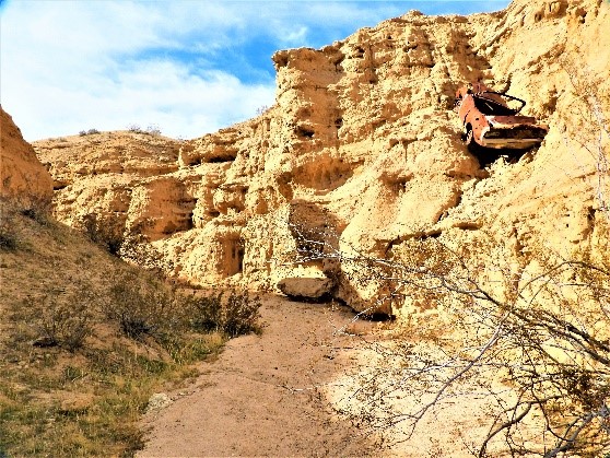 2020.01.25 Palisades Ranch Nature Reserve Walk with Tom Egan/Defenders of Wildlife