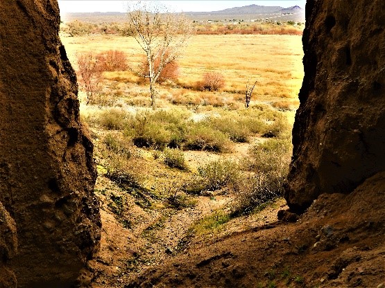 2020.01.25 Palisades Ranch Nature Reserve Walk with Tom Egan/Defenders of Wildlife