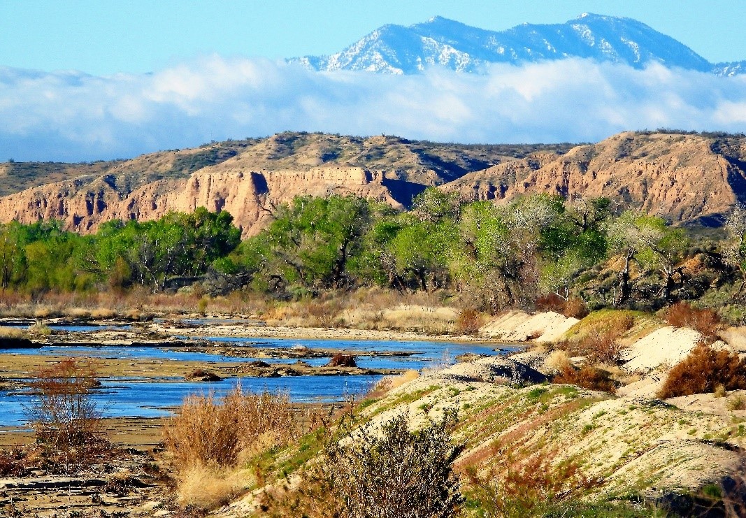 2020.01.25 Palisades Ranch Nature Reserve Walk with Tom Egan/Defenders of Wildlife