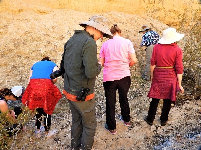 2020.01.25 Palisades Ranch Nature Reserve Helendale, California walk with Tom Egan/Defenders of Wildlife