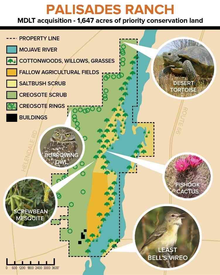 Palisades Ranch map with wildlife