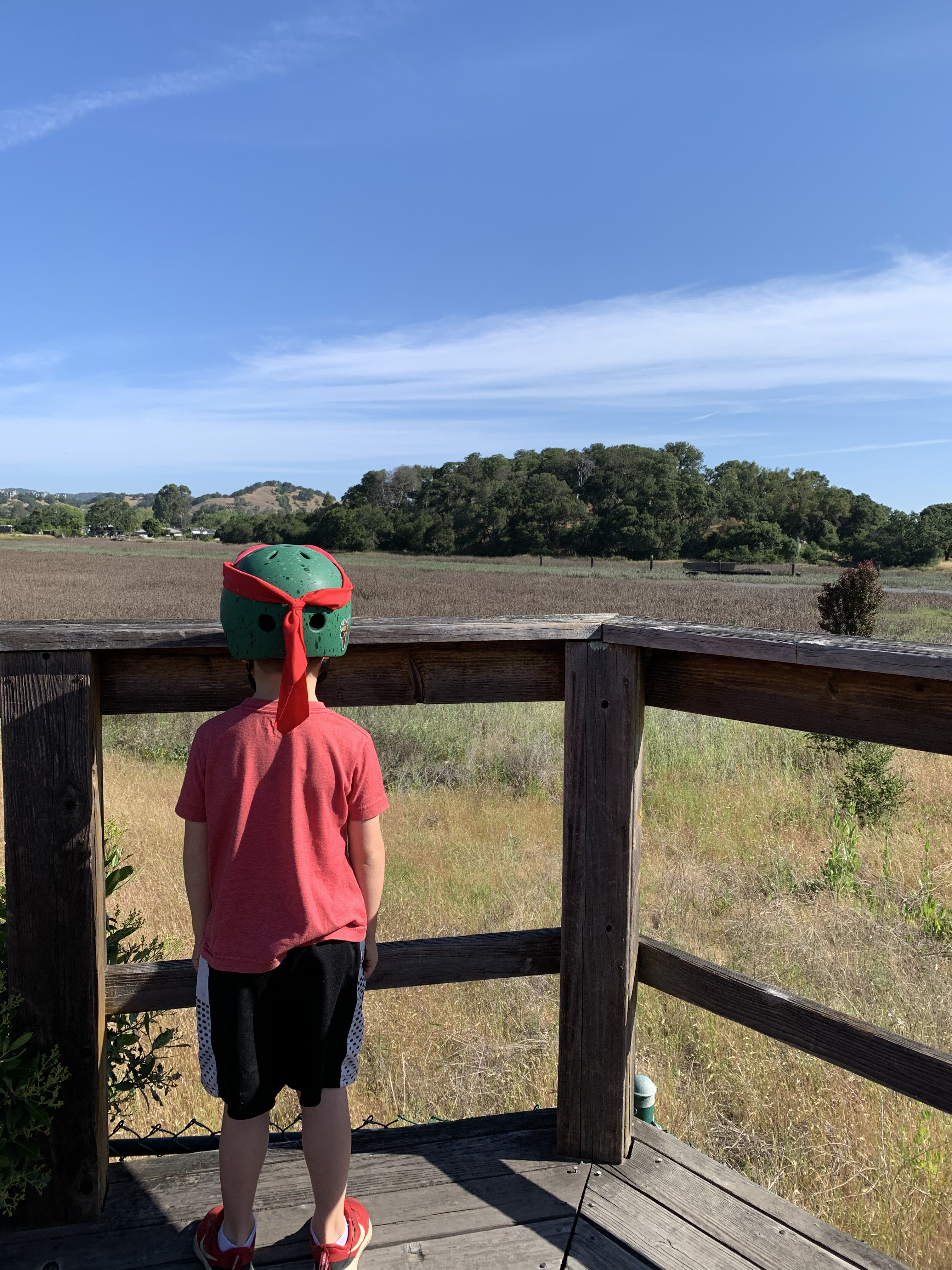 San Rafael Marsh CA 