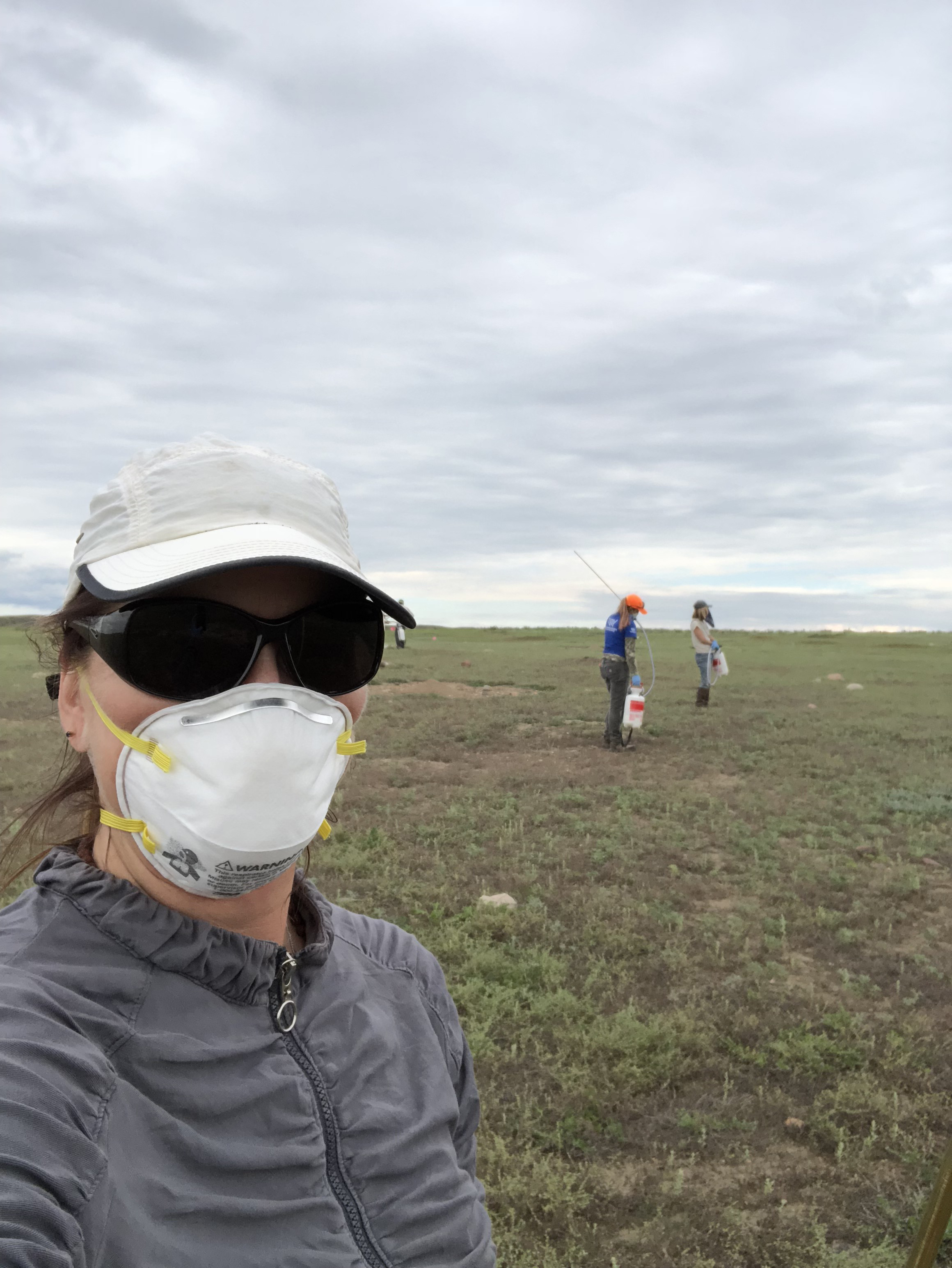 Dusting thunder basin ng