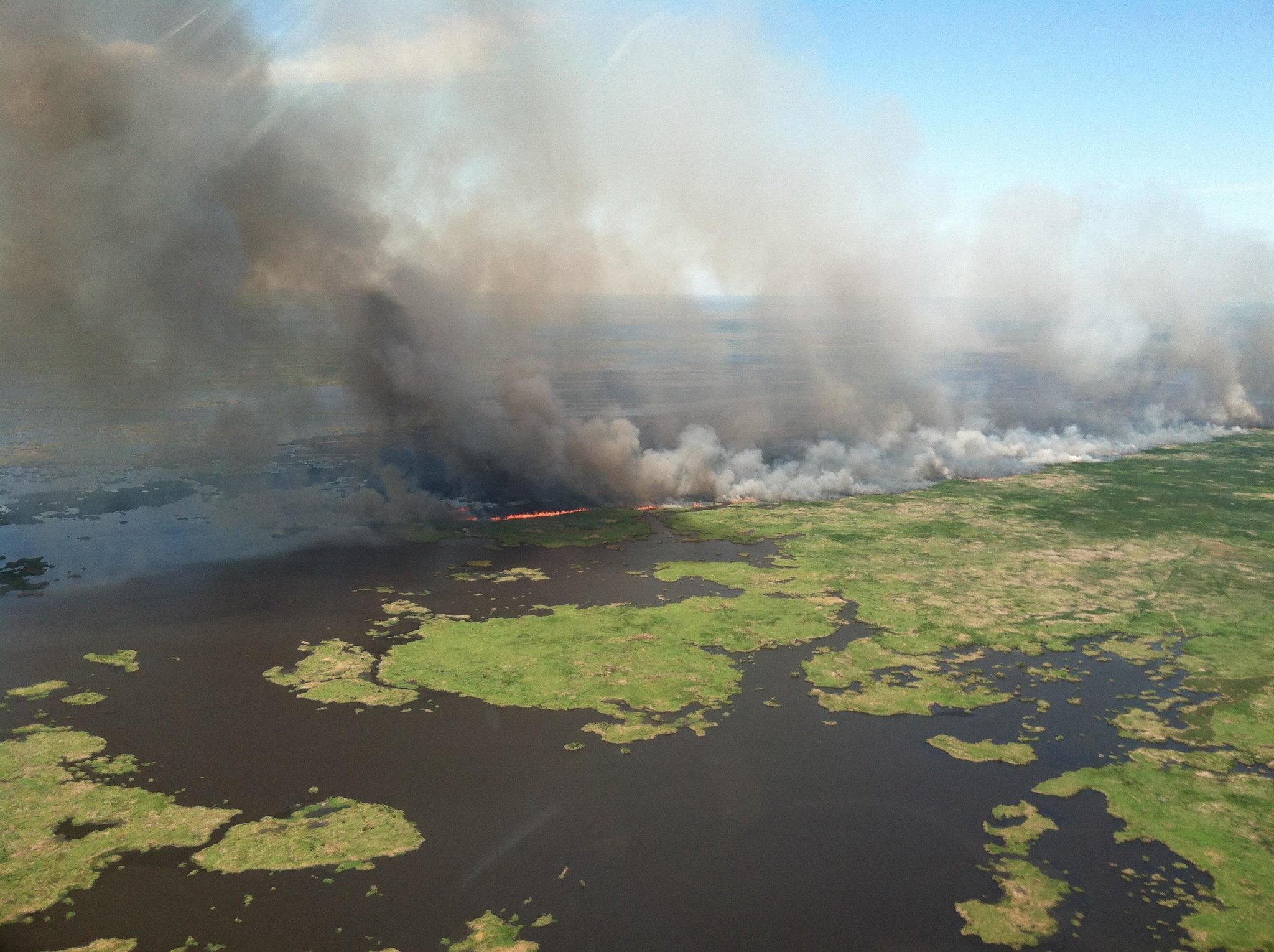 The Teal Fire the Sabine National Wildlife Refuge in Louisiana