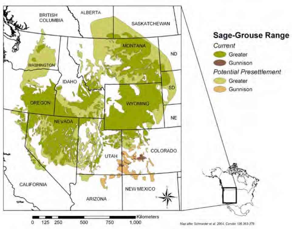 Sage grouse range map