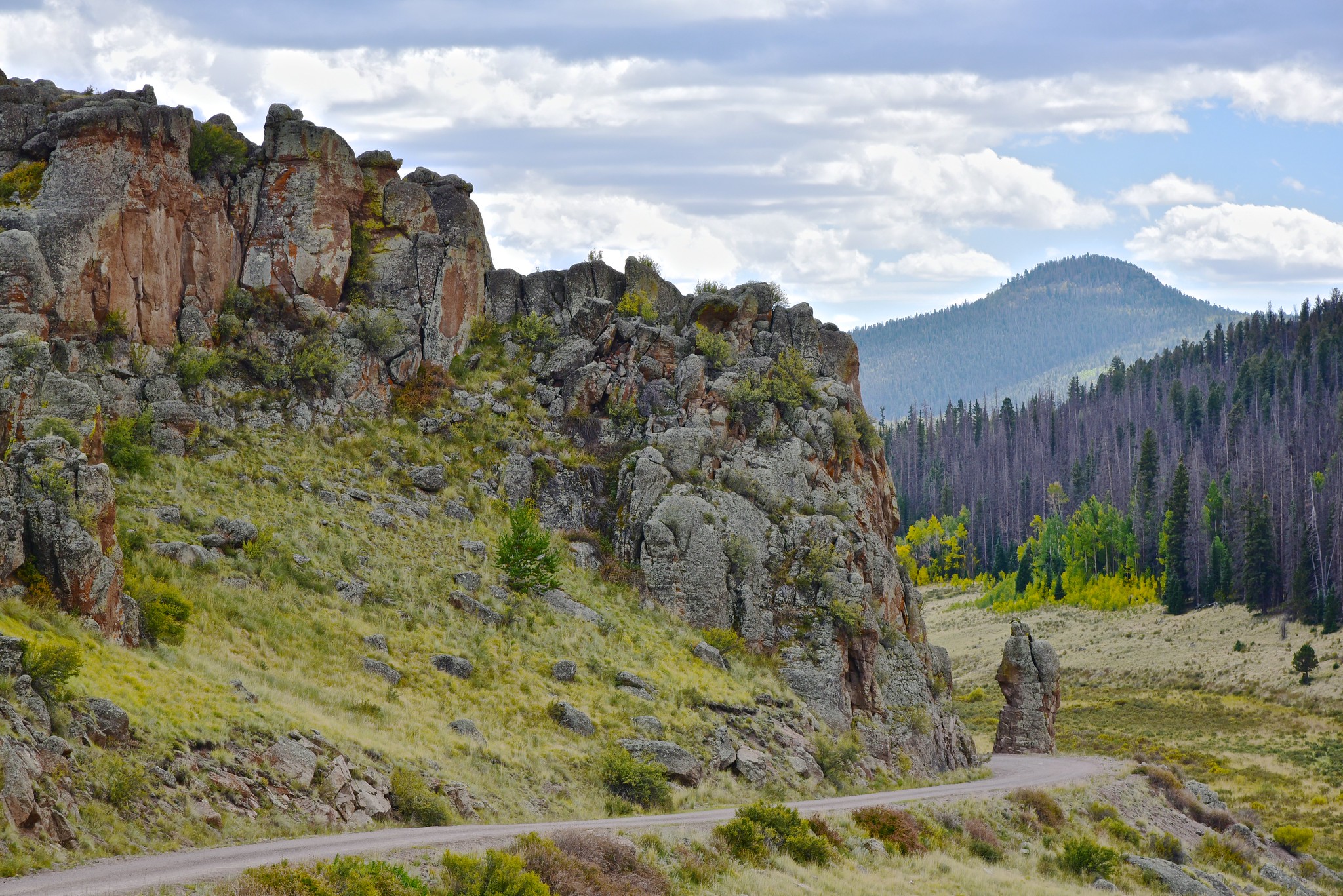 County Road 41G Rio Grande National Forest