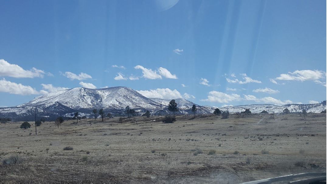 New Mexico landscape