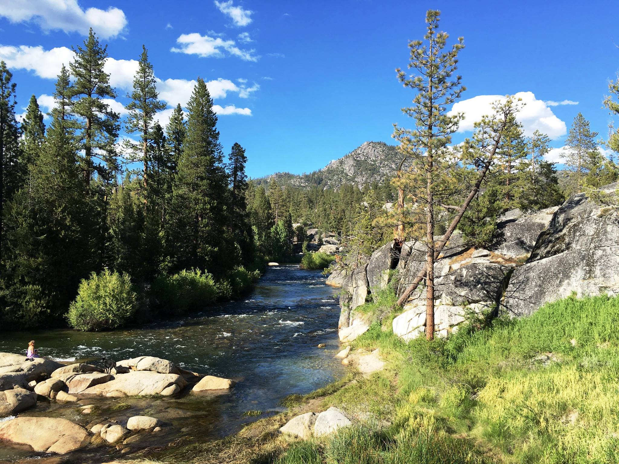 San Joaquin River in Sierra NF