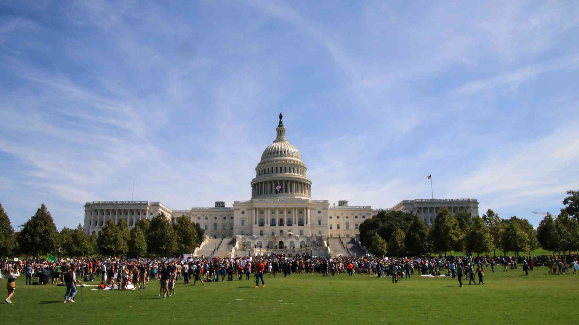 Climate Strike DC Wide Shot Capitol Lawn 