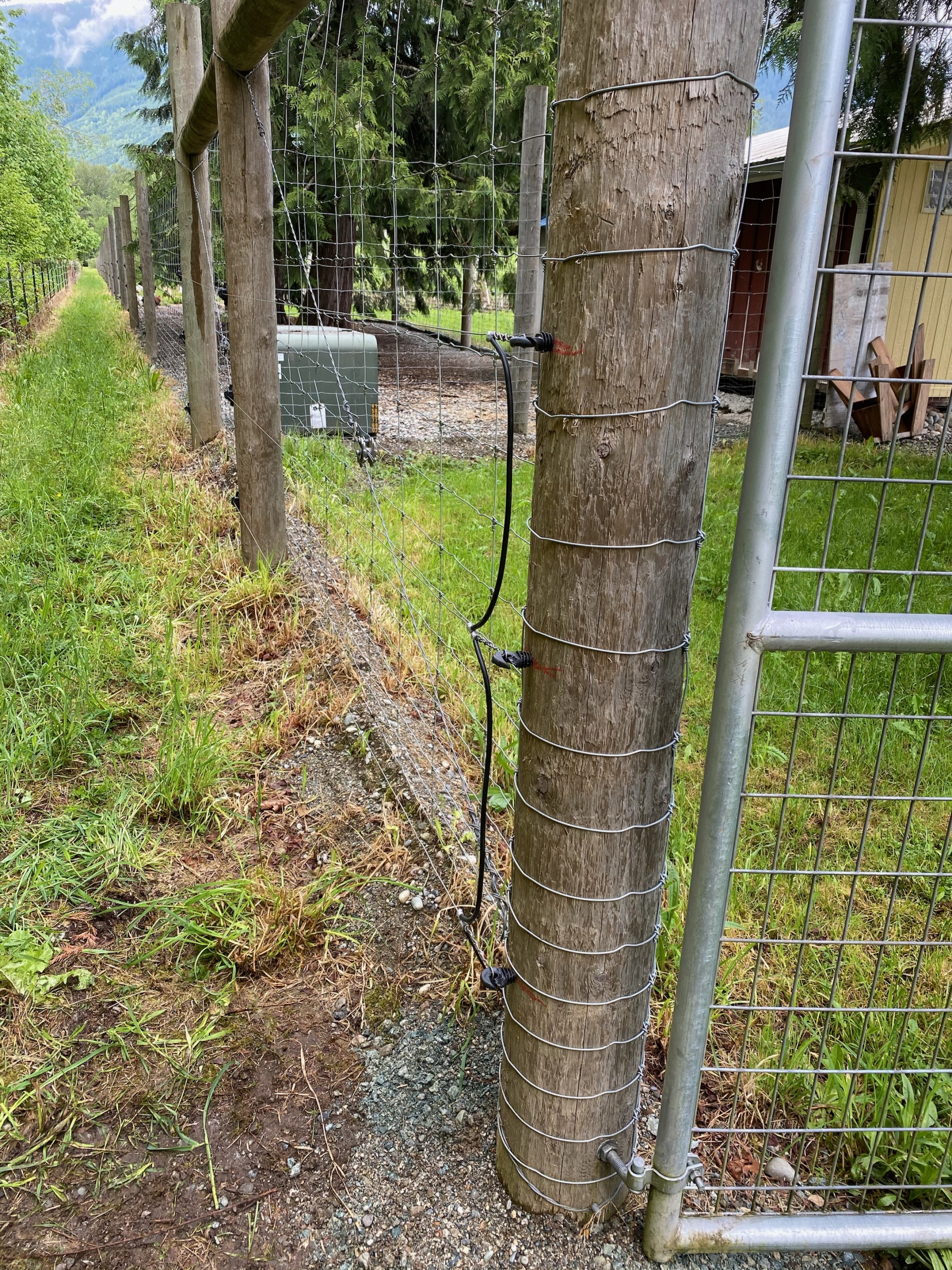 Electric fence on sauk farm