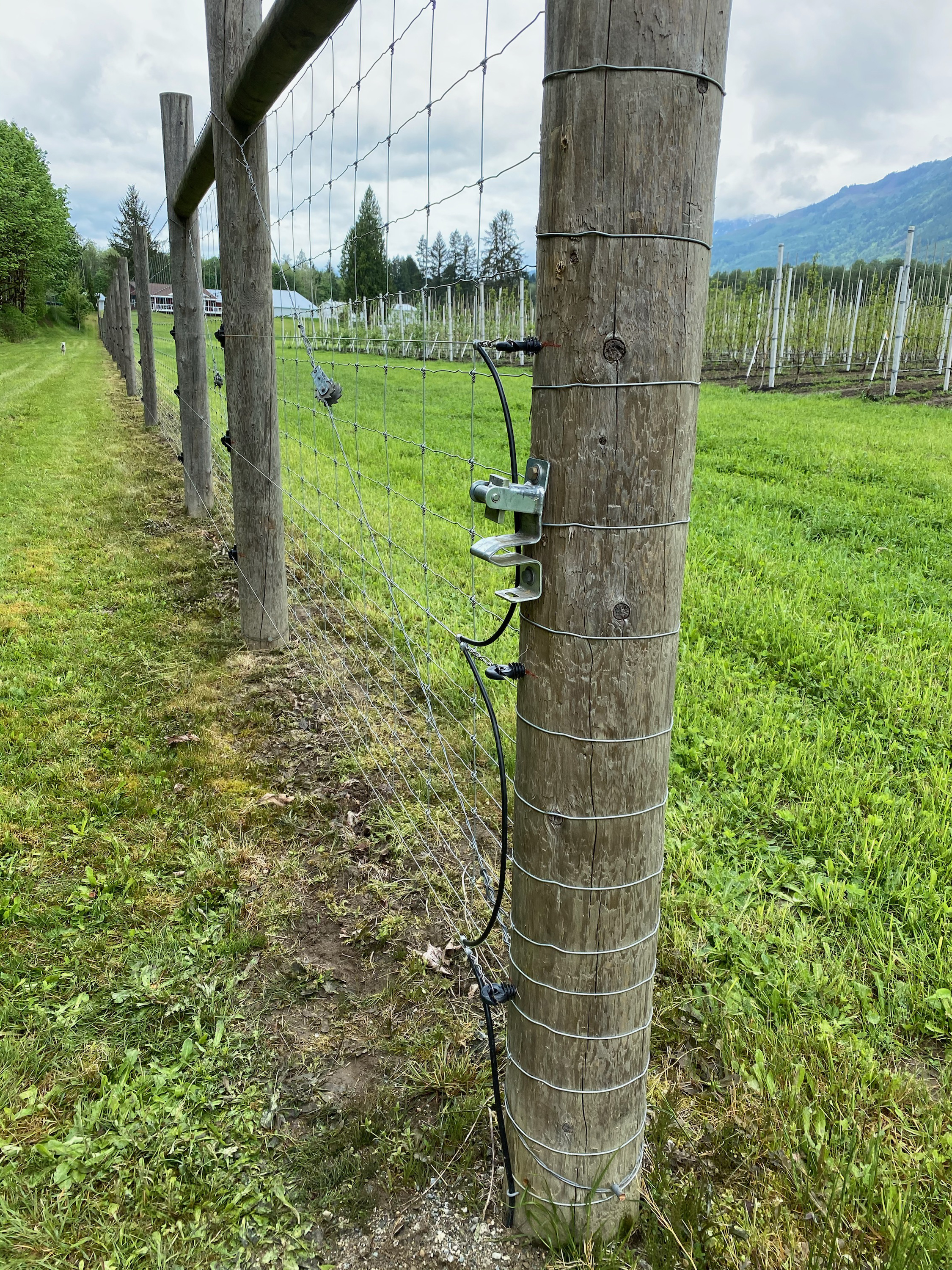 Electric fence on sauk farm