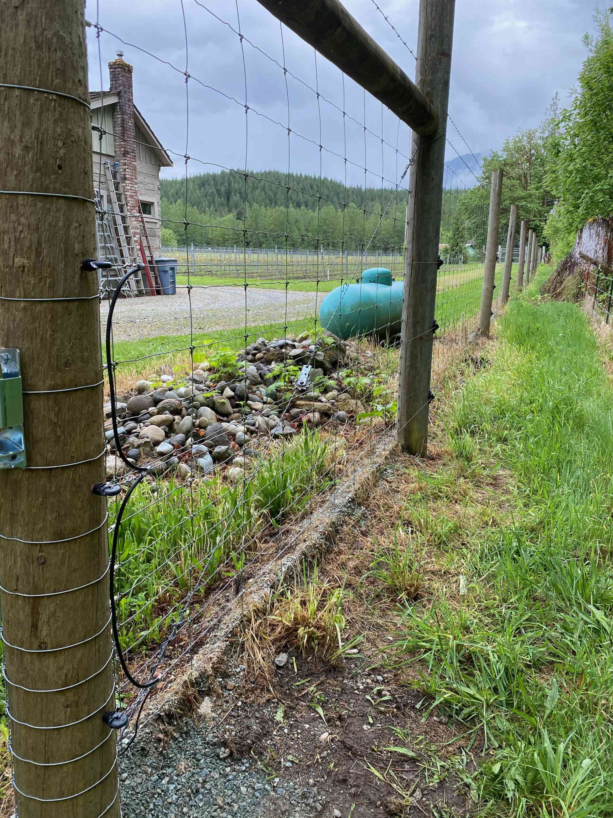 Electric fence on sauk farm