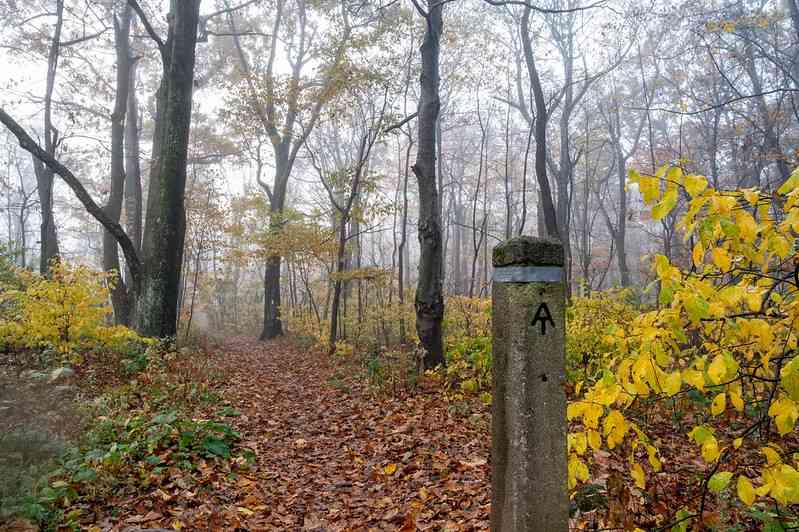 The Appalachian Trail at Gravel Springs Shenandoah National Park