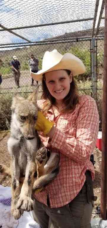 Shana Olson with mexican gray wolf pup