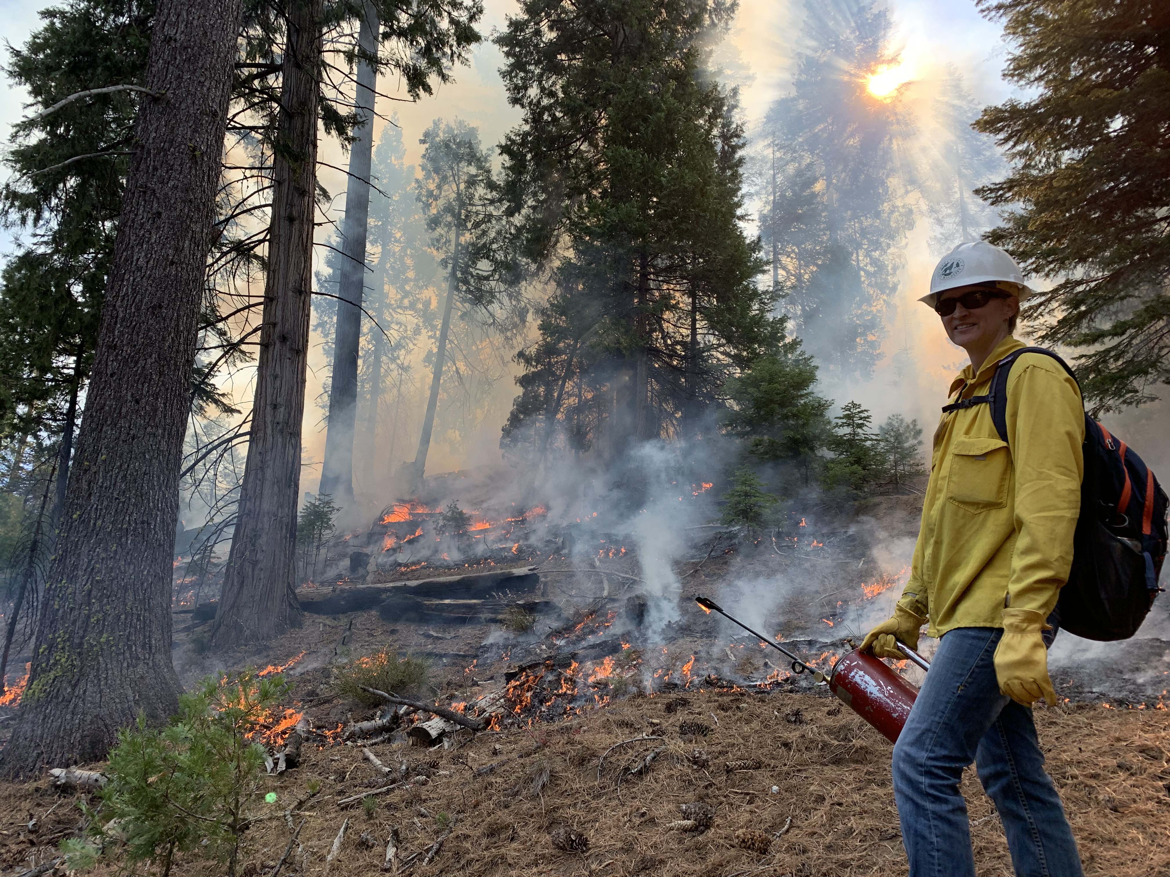 Flick Facing Camera with Flame Tank and Smokey Forest 