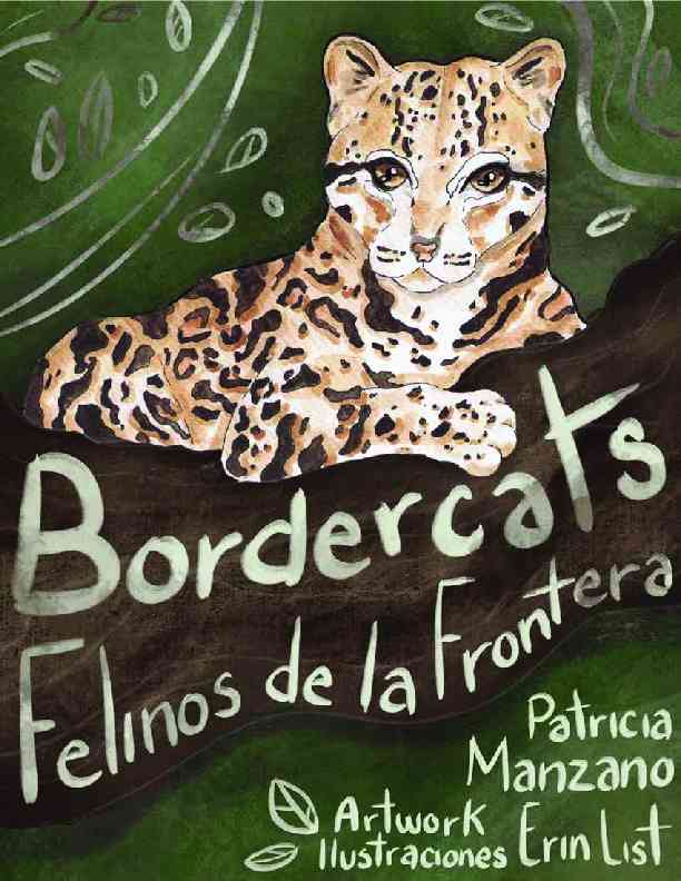 Bordercats booklet cover