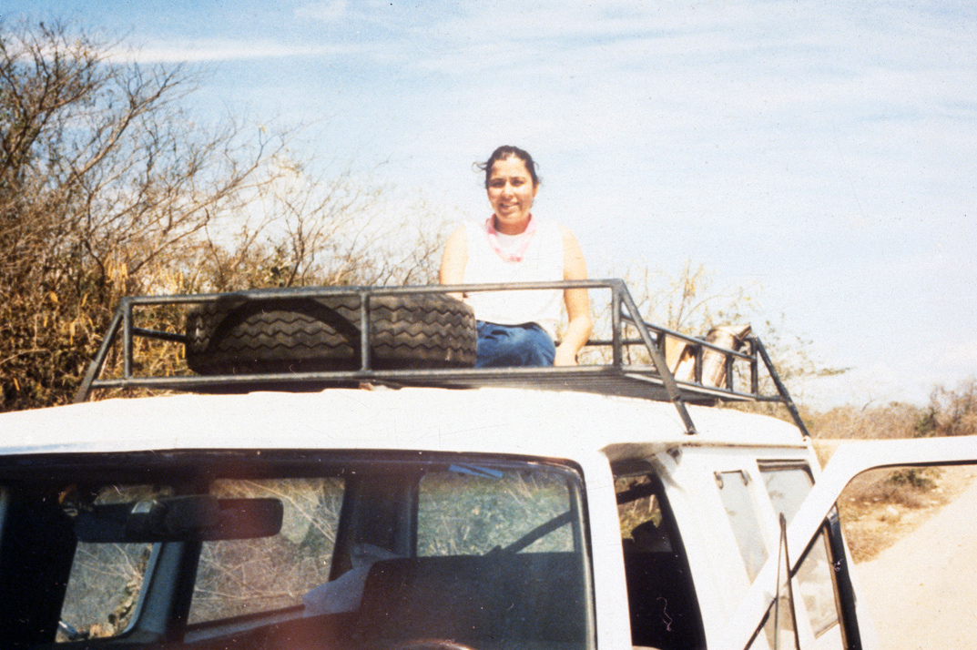 sitting on top of a car