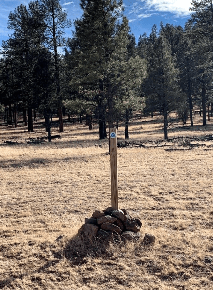 Continental divide trail wooden marker in front of forest 
